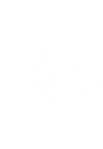 B-252751-1.png
