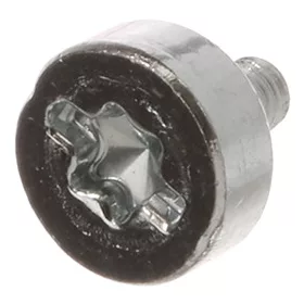 Csavar Bosch Mosogatógéphez – Torx T20 – Belső ajtópanelhez (00603538 kompatibilis)