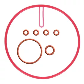   Saeco Kazán tömítés készlet Royal, Magic, Incanto kávégépekhez (C-035)