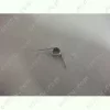 Rugó /bal/ ELECTROLUX porszívó