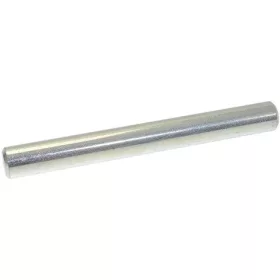 Bianchi Kavaró Adagoló Csap – ø 10x90 mm – BVM és LEI széria (12004611-02)