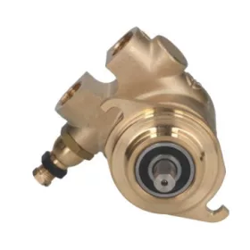 ROTARY VANE PUMP ROTOFLOW ? 3/8" GAS
