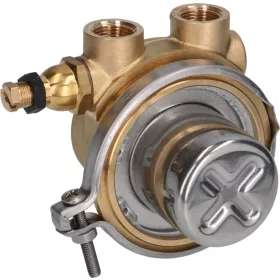 ROTARY VANE PUMP ROTOFLOW ø 3/8' GAS