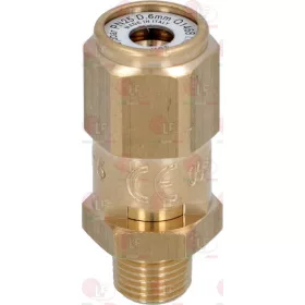 KAZÁNSZELEP ø 1/8'M 5.5 bar CE-PED