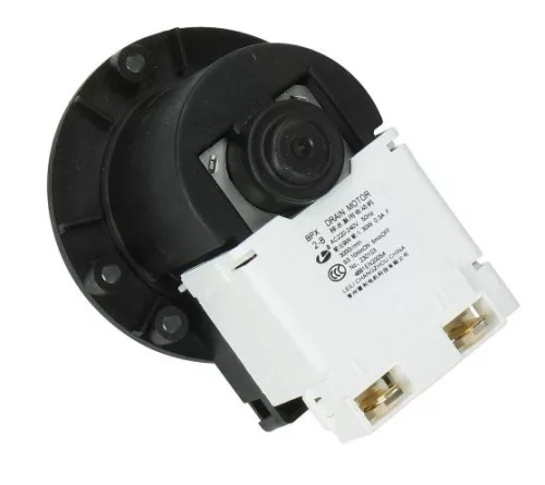 MOTOR,AC