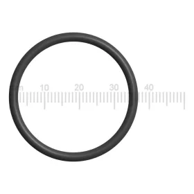 O-gyűrű Spaziale kávégépekhez és egyéb vendéglátóipari gépekhez - 31,42x2,62 mm - EPDM (03125 kompatibilis)