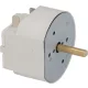 Salamander timer 15 minutes it/its
