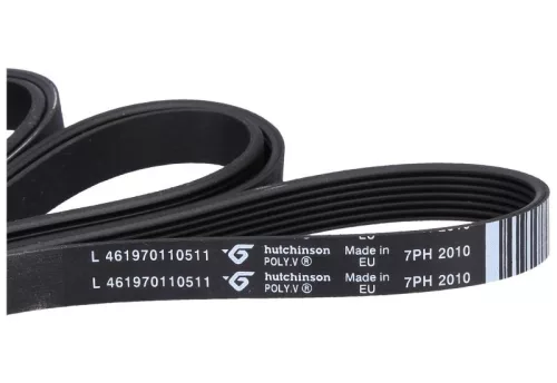 C00311014 SZÍJ 2010H7