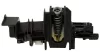 B-481010574865-3.jpg