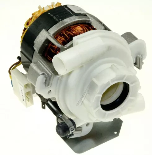 B-481236158007-1.jpg