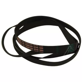 C00145707 ÉKSZÍJ ELASZTIKUS