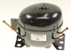 B-488000526709-1.jpg