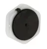 B-488000533677-5.jpg