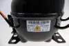 B-488000738340-3.jpg