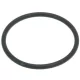 O-RING 0153 FKM