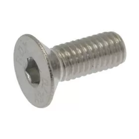 SÜLLYESZTETT LAPOS FEJŰ CSAVAROK M5x16