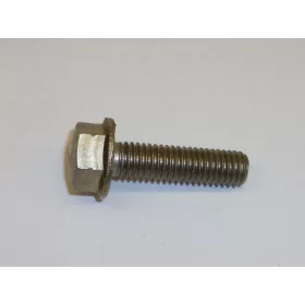 RATIONAL sütő/főzőkészülék csavar M8x30