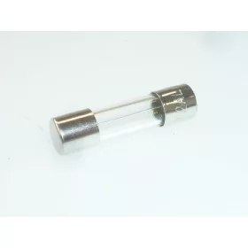 ASTORIA CMA kávégép biztosíték 2A ø 5x20 mm