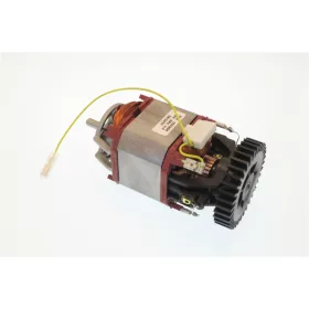 ZANUSSI dagasztó/mixer motor 250W 230V 50Hz