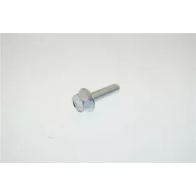 GAGGIA kávégép TE PEREMES CSAVAR M5x20 mm HORGANYZOTT