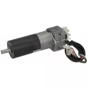 GEAR MOTOR MICROGEARS