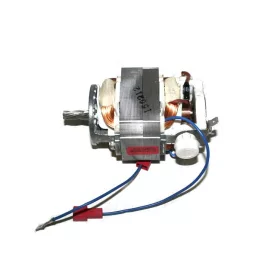 Őrlőmotor Necta / Evoca Italautomatához – 60 Hz – Brio, Kikko, Venezia szériákhoz (251144 kompatibilis)