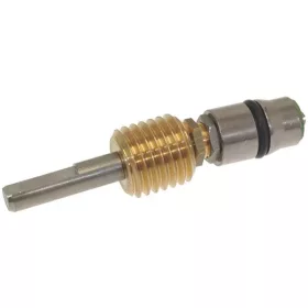 CSAP PIN