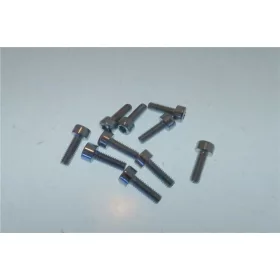 Torx hornyolt fejű csavar M4x12 10 db