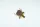 Klixon 110°C Bianchi Italautomatához – Automatikus visszaállítás – M5 menetes (25020516 kompatibilis)