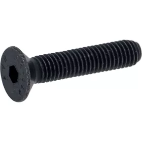 B-128779.jpg