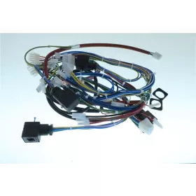 RANCILIO kávégép Kábelköteg 2Gr Classe 7 Usb Ssr