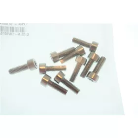 Hornyos fejű csavar Torx T20 M4x12