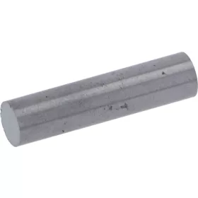 ZANUSSI burgonyakoptató mágnes ø 6x25 mm