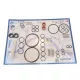 CARPICARE KÉSZLET XVL 3 CLASSIC & STEEL SP/P