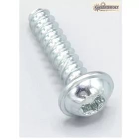 CSAVAR PT60X25-WN5451-30IP-EJOT-A2K-TORX