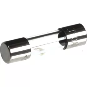 Biztosíték 10 A 20 x 5 mm