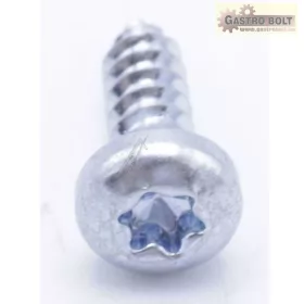 CSAVAR ST4,2X13 FZB TORX20