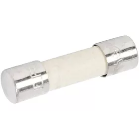 BIZTOSÍTÉK MIKROHULLÁMÚ SÜTŐHÖZ 8A ELECTROLUX 5028720