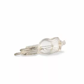 40W Izzó (eredeti) G9/ 230V ELECTROLUX sütő