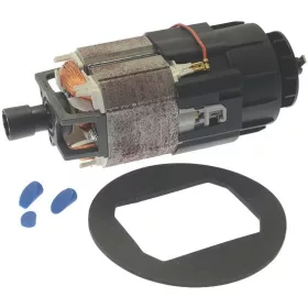 ZANUSSI dagasztó/mixer motor 0.44kW 230V