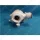 74441 VÍZSZIVATTYÚ V220-240 50HZ THERMOGES.ROHS