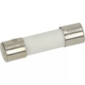 BIZTOSÍTÉK 5x20mm 10A 250V