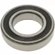 CSAPÁGY 6006-2RS SKF