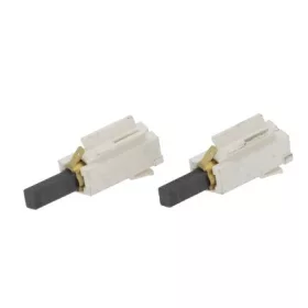 SCHUNK MOTOR SZÉNKEFÉK