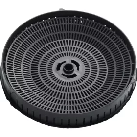 SZÉNSZŰRŐ (X2) ELECTROLUX 9029801496