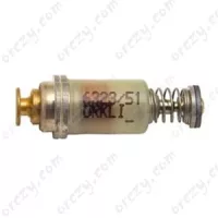 Termomágnes