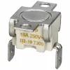 B-81960.jpg