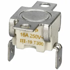 B-81960.jpg