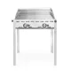 HENDI Green Fire Profi Line gázgrill, 2 égős, 11,6 kW (149621)