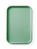 AmerBox Polipropilén Gyorséttermi Tálca - GN 1/1, 530x325 mm, Zöld (878576)